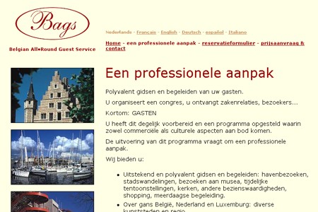 website Bags
